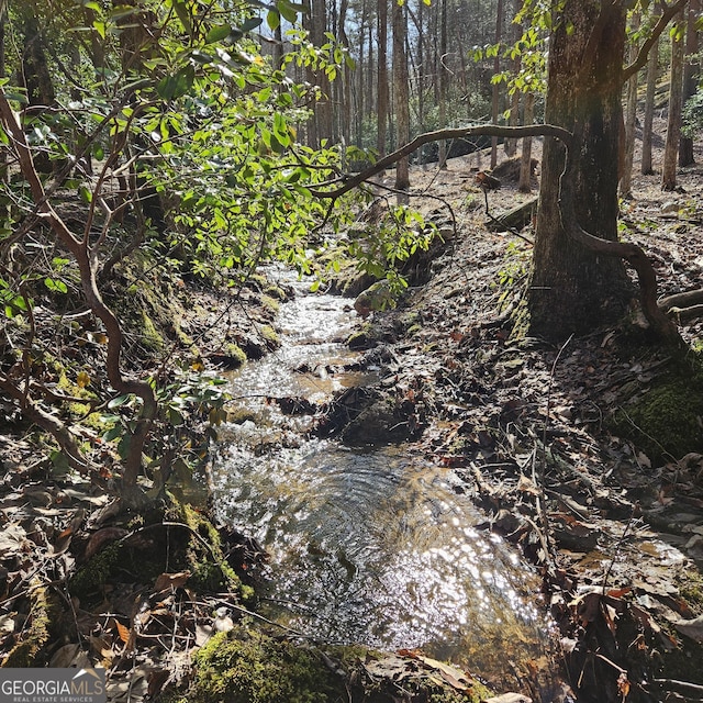 view of local wilderness