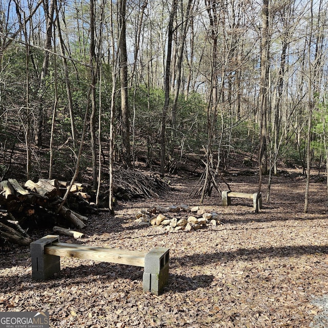 view of nature