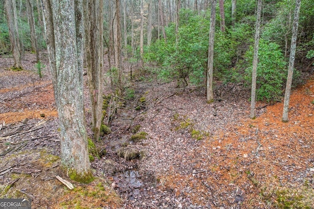 view of local wilderness