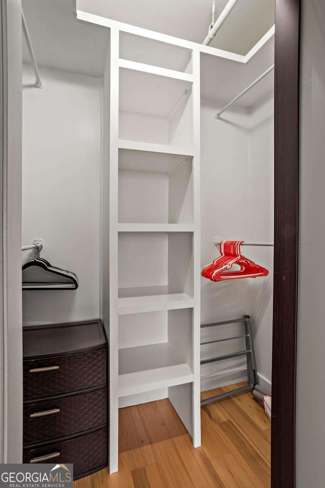 spacious closet with light wood-type flooring