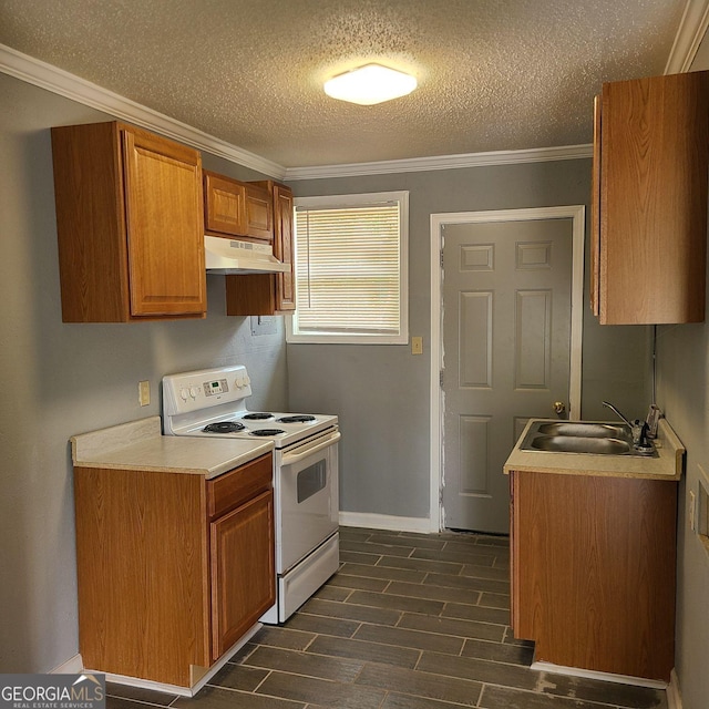 kitchen featuring sink, crown molding, white electric stove, and a textured ceiling