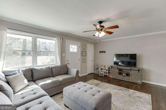 living room with crown molding, dark wood-type flooring, and ceiling fan