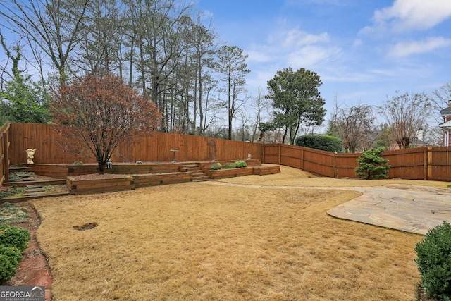 view of yard featuring a patio area