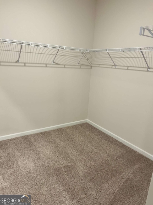 16 Wildflower Ln Unit 39, Dallas, GA 30132 - spacious closet featuring carpet