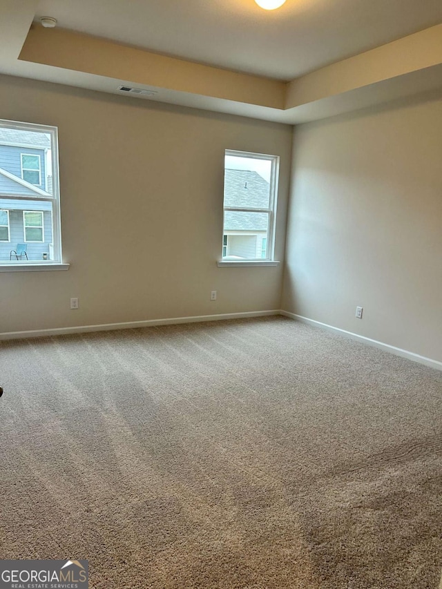 16 Wildflower Ln Unit 39, Dallas, GA 30132 - spare room with a raised ceiling, carpet floors, plenty of natural light, and a smoke detector