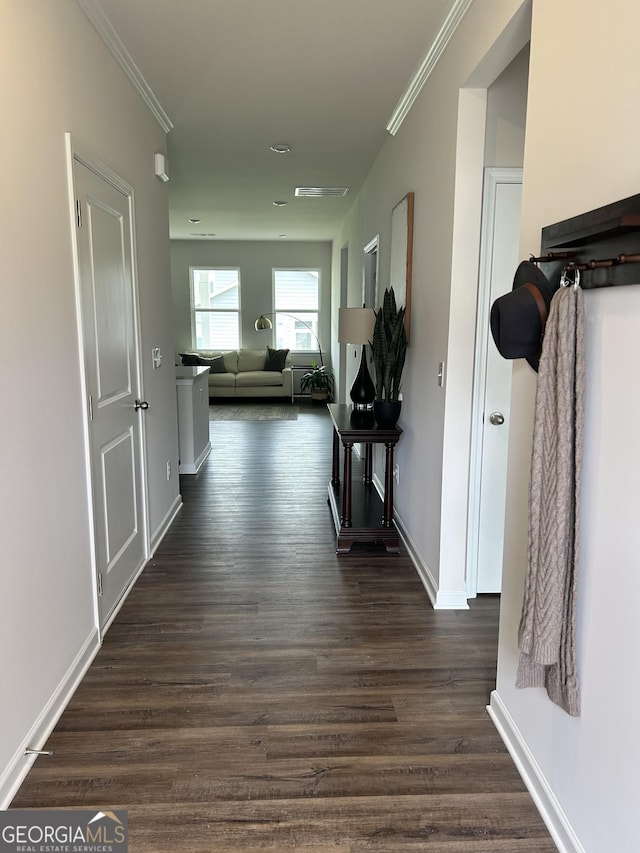 16 Wildflower Ln Unit 39, Dallas, GA 30132 - hallway featuring dark wood finished floors and ornamental molding