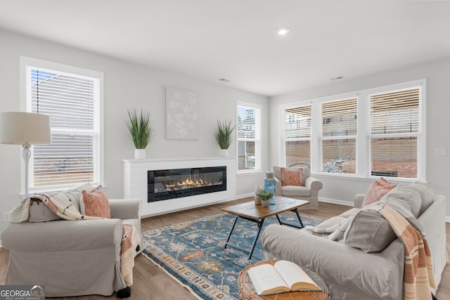 living area featuring a glass covered fireplace, a healthy amount of sunlight, baseboards, and wood finished floors