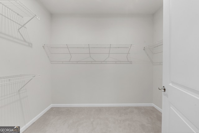 spacious closet featuring light colored carpet