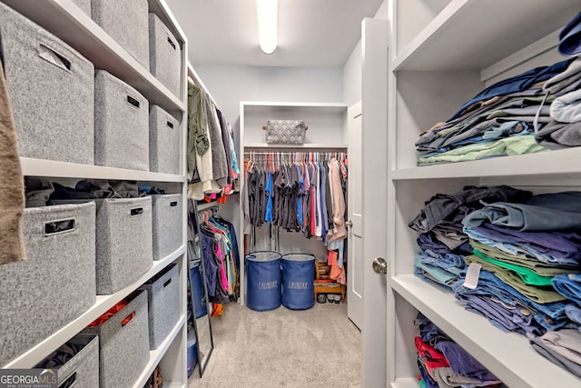 spacious closet with light carpet