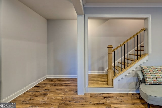 staircase with hardwood / wood-style flooring