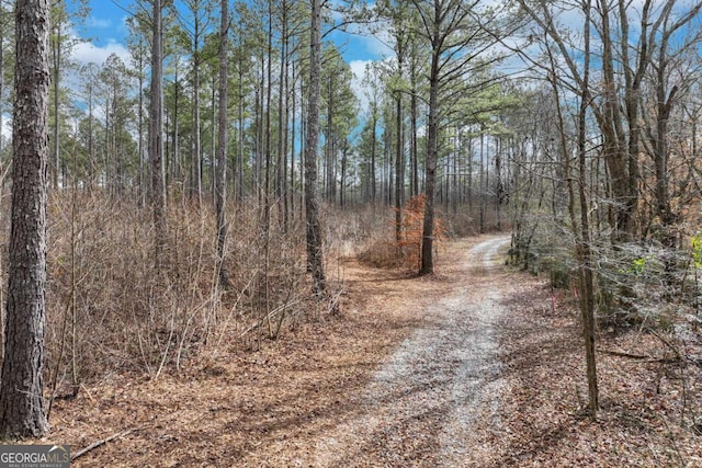 1435 Hargrove Lake Rd, Winterville GA, 30683 land for sale