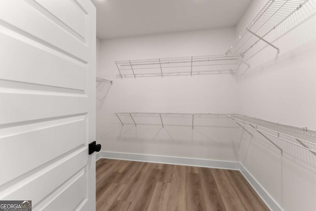 walk in closet featuring wood-type flooring