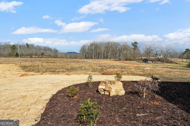 view of yard featuring a rural view