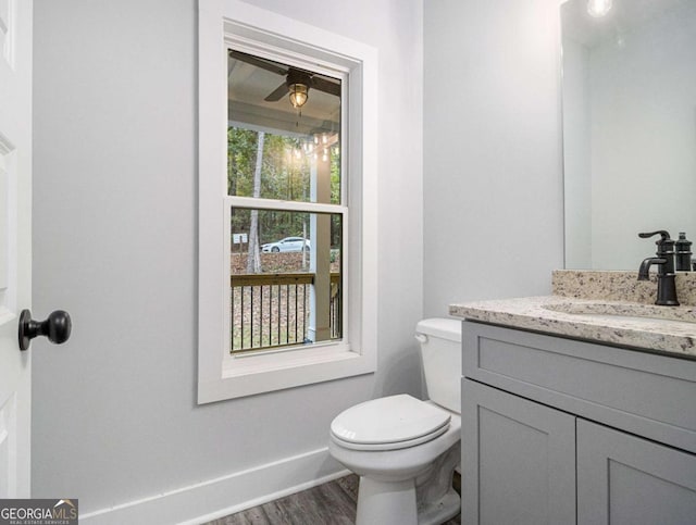 bathroom with vanity, wood-type flooring, and toilet