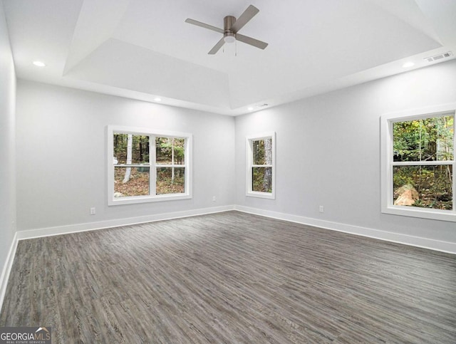 spare room with a raised ceiling, a healthy amount of sunlight, and dark wood-type flooring