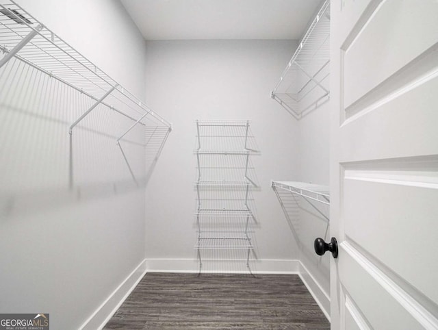 walk in closet with dark hardwood / wood-style flooring