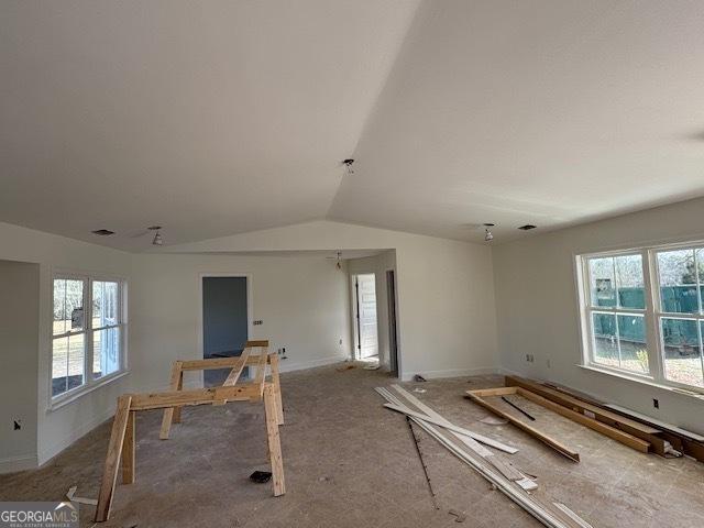 spare room with vaulted ceiling and a wealth of natural light