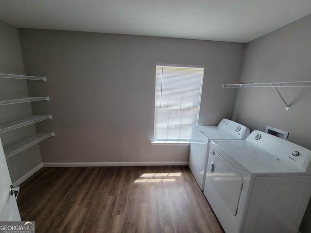 washroom featuring dark wood-type flooring and washing machine and clothes dryer