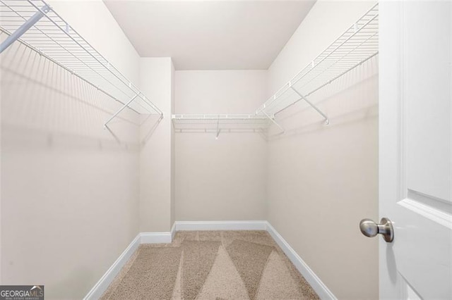 walk in closet with carpet