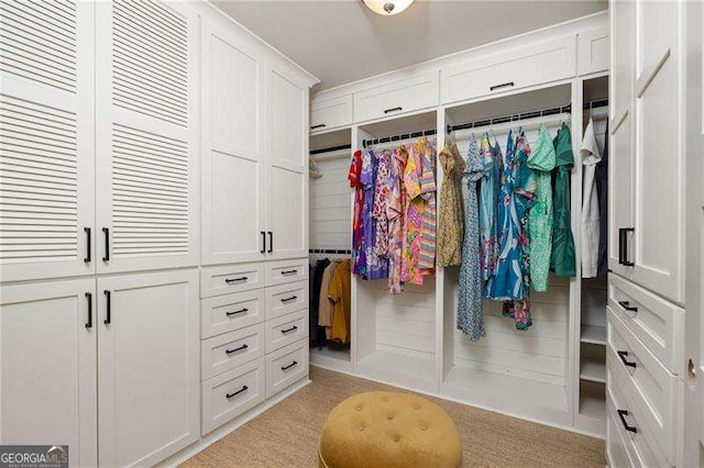 view of closet