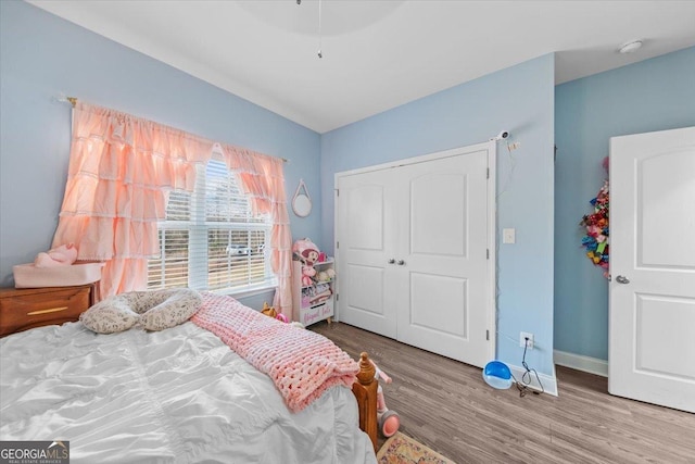 bedroom featuring wood-type flooring