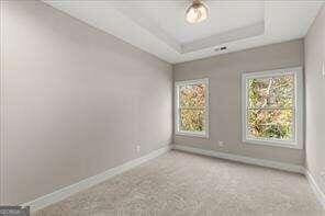 unfurnished room with carpet floors and a raised ceiling