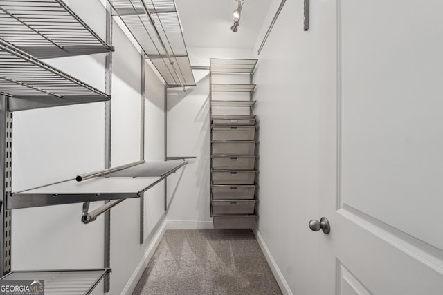 spacious closet featuring carpet floors