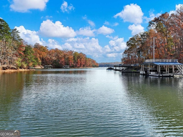 property view of water featuring a dock