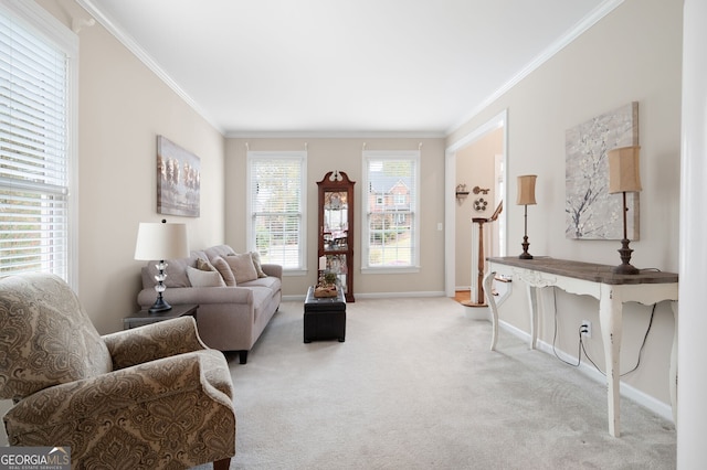 carpeted living room with crown molding