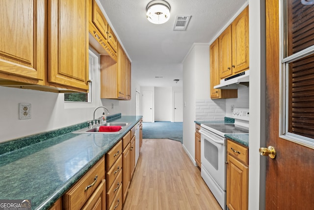 kitchen featuring sink, a textured ceiling, white appliances, and light hardwood / wood-style floors