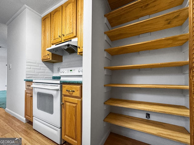 kitchen with white electric range oven, decorative backsplash, and light hardwood / wood-style flooring