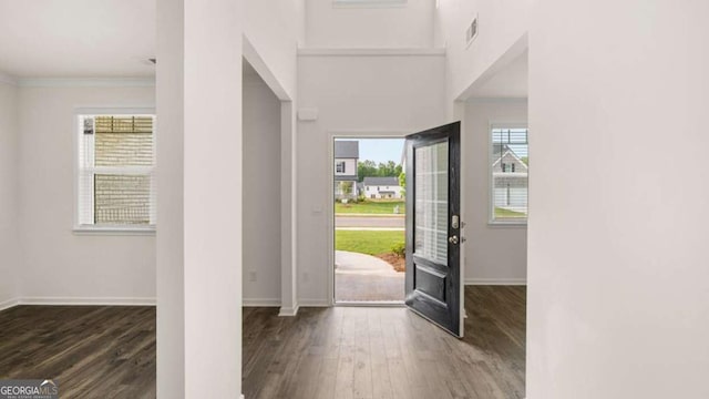 entryway with crown molding, a wealth of natural light, and dark hardwood / wood-style flooring