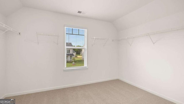 walk in closet featuring vaulted ceiling and carpet