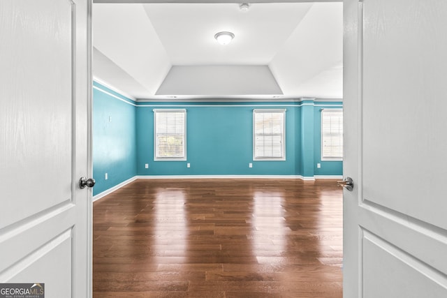 unfurnished room with a tray ceiling, plenty of natural light, and wood finished floors