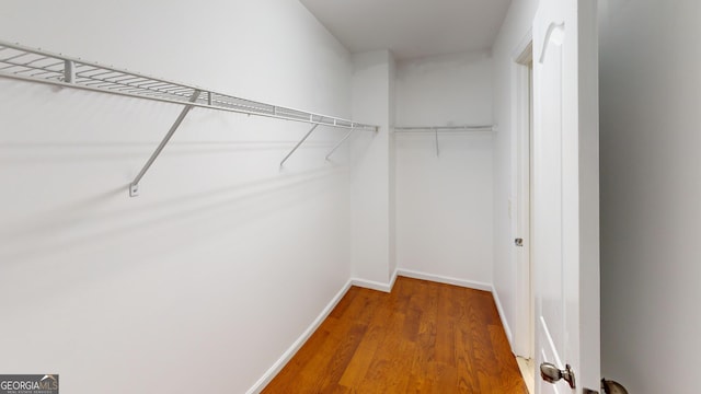 walk in closet with wood finished floors