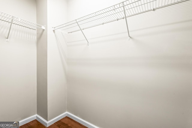 walk in closet with dark wood-style flooring