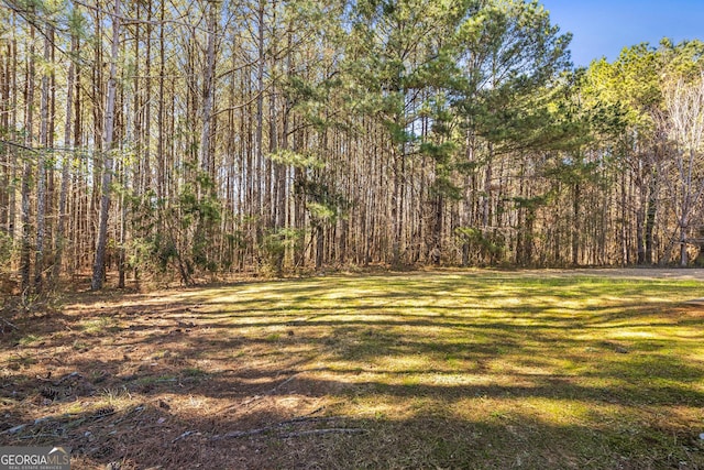 view of yard with a wooded view