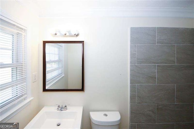 bathroom with vanity, crown molding, and toilet