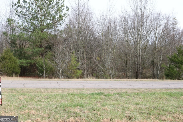 Listing photo 3 for 04.5ACRES Paoli St, Comer GA 30629