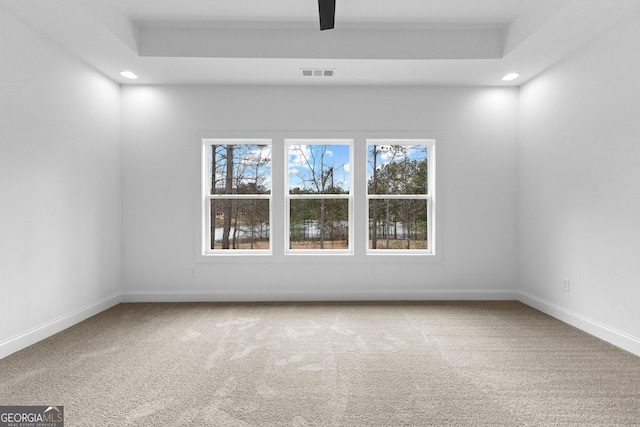 carpeted empty room featuring a raised ceiling