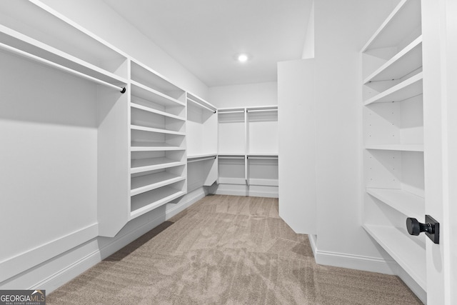 spacious closet with carpet floors