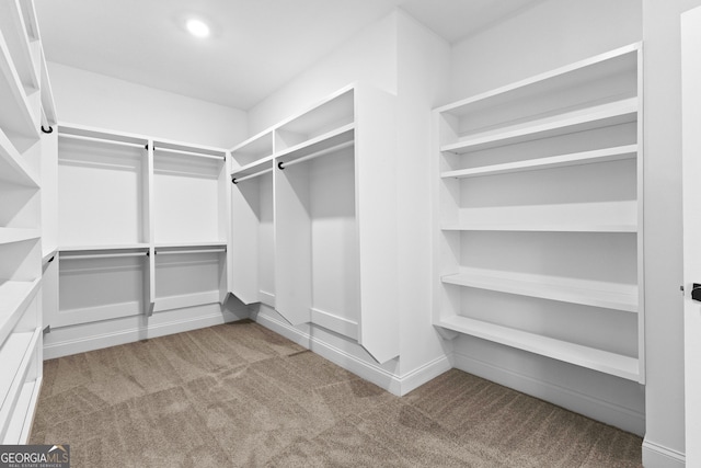 walk in closet with carpet floors