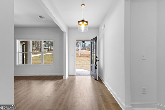 foyer entrance with wood-type flooring