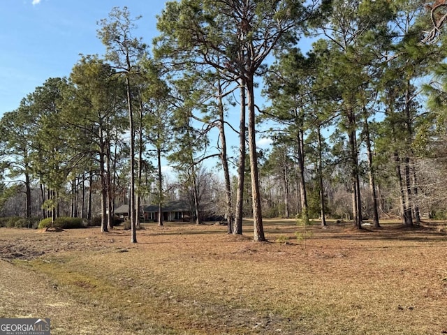 5686 Golden Isle W, Baxley, GA 31513 - view of yard