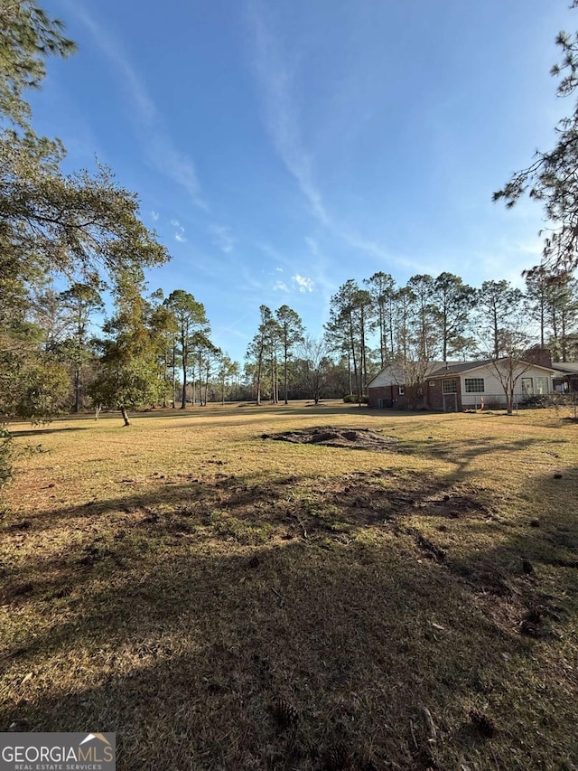 5686 Golden Isle W, Baxley, GA 31513 - view of yard