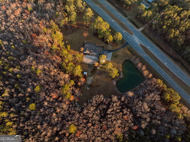 5686 Golden Isle W, Baxley, GA 31513 - drone / aerial view