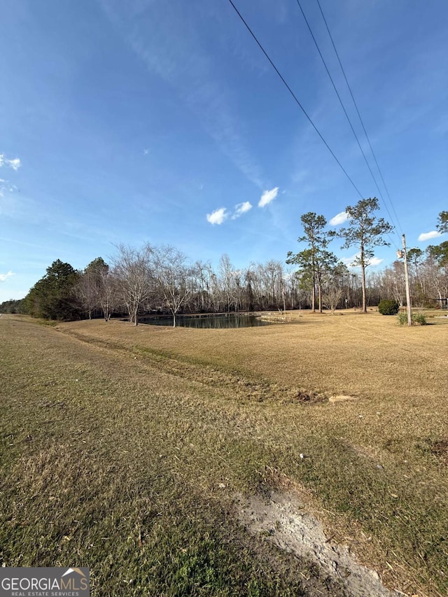 5686 Golden Isle W, Baxley, GA 31513 - view of yard
