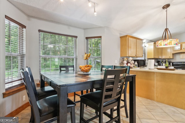 dining room featuring light tile patterned flooring and a healthy amount of sunlight