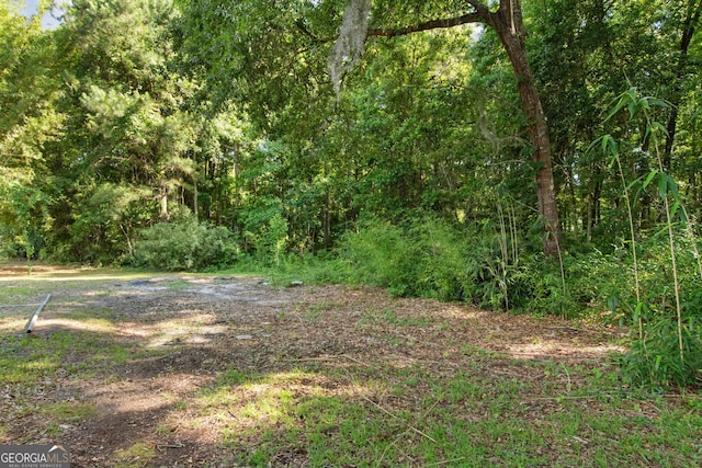 view of local wilderness