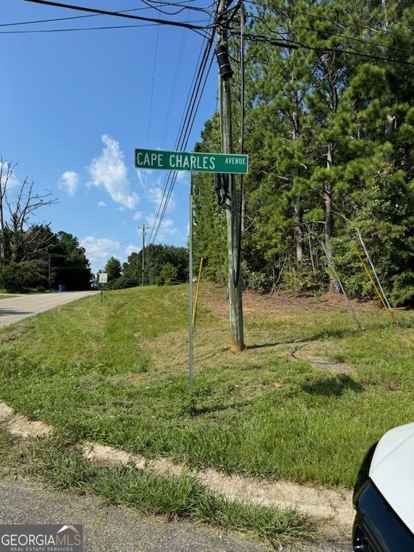 0 Cape Charles Ave, Hampton GA, 30228 land for sale